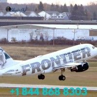  Frontier Airlines Flight Booking  Deals 1 844 868 8303